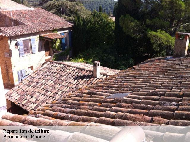 Réparation de toiture Bouches-du-Rhône 