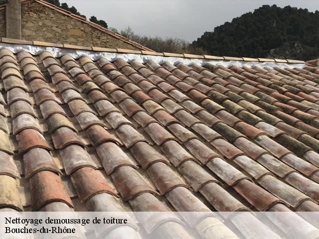 Nettoyage demoussage de toiture Bouches-du-Rhône