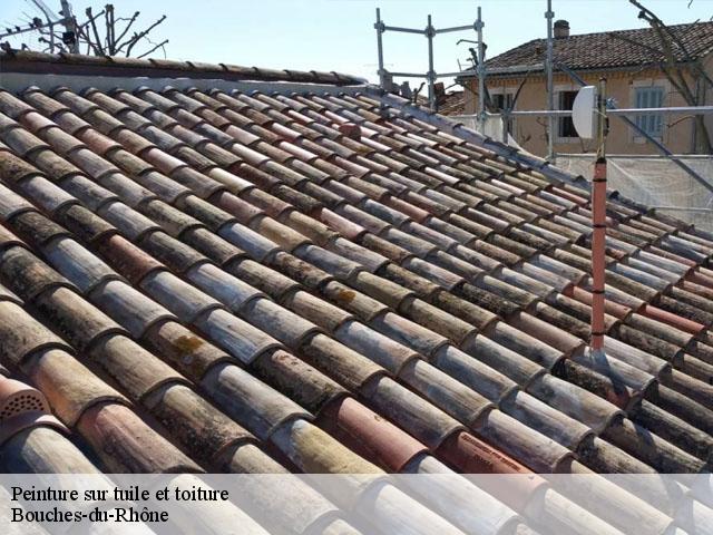 Peinture sur tuile et toiture Bouches-du-Rhône 