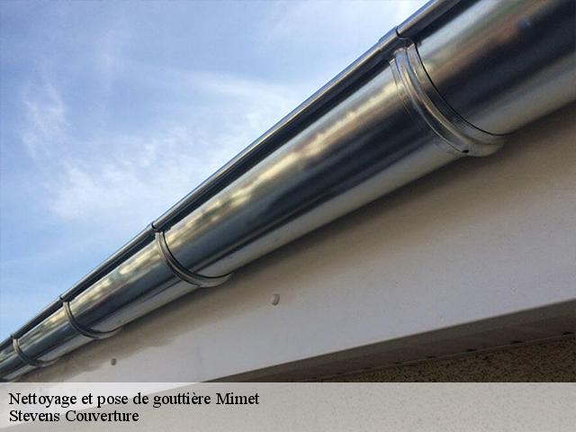 Nettoyage et pose de gouttière  13105