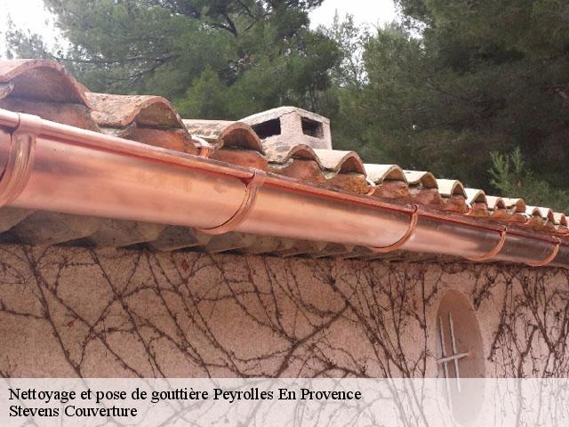 Nettoyage et pose de gouttière  peyrolles-en-provence-13860 Stevens Couverture