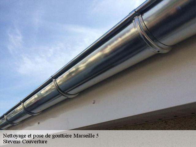 Nettoyage et pose de gouttière  13005