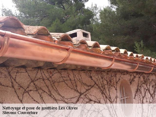 Nettoyage et pose de gouttière  les-olives-13013 Stevens Couverture
