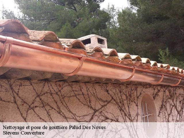 Nettoyage et pose de gouttière palud-des-noves-13550 Stevens Couverture