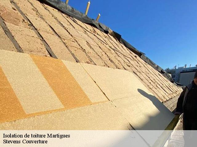 Isolation de toiture 13500