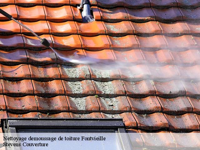 Nettoyage demoussage de toiture 13990