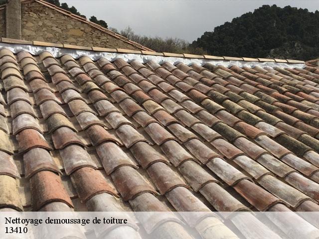 Nettoyage demoussage de toiture 13410