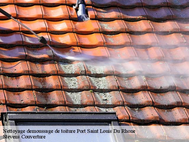 Nettoyage demoussage de toiture 13230