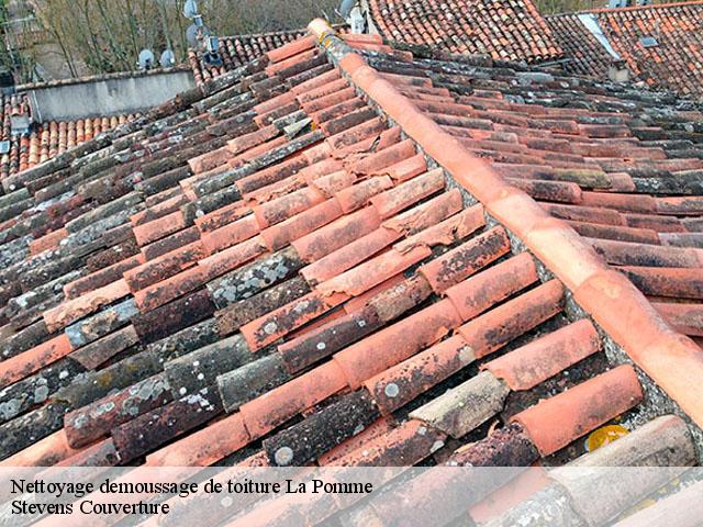 Nettoyage demoussage de toiture la-pomme-13720 Stevens Couverture