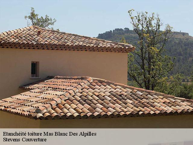 Etanchéité toiture  mas-blanc-des-alpilles-13103 Stevens Couverture
