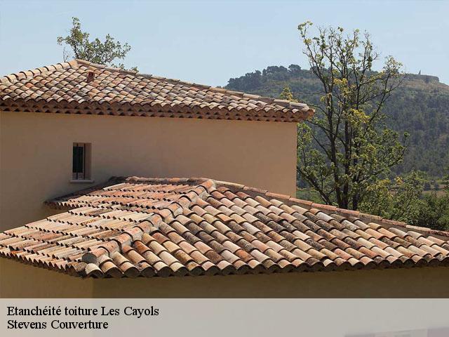 Etanchéité toiture  les-cayols-13114 Stevens Couverture