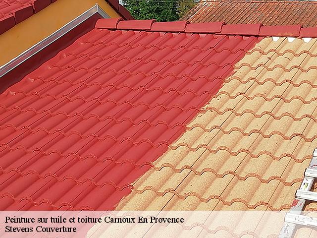 Peinture sur tuile et toiture 13470