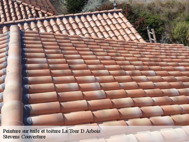 Peinture sur tuile et toiture  la-tour-d-arbois-13129 Debord Couvreur