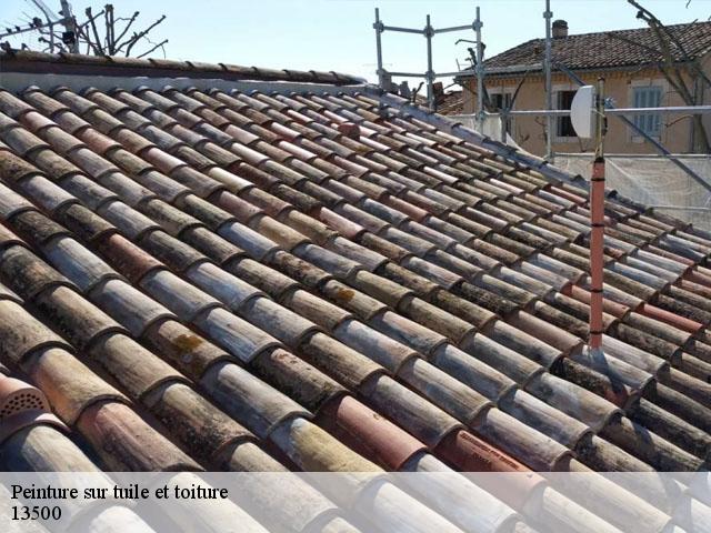 Peinture sur tuile et toiture 13500