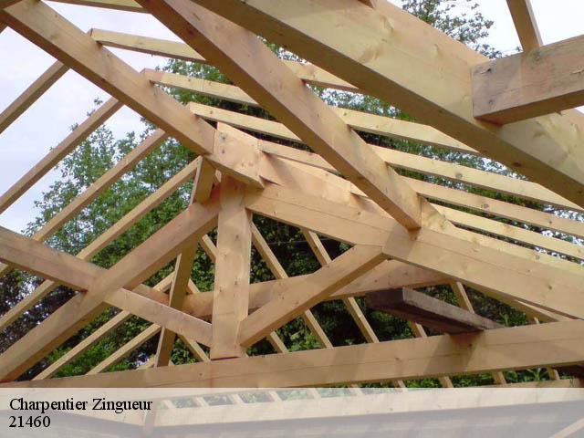 Charpentier Zingueur 21460