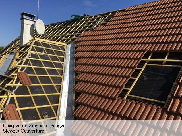 Charpentier Zingueur 21540