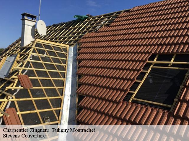 Charpentier Zingueur 21190